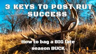 Whitetail Strategy // 3 Keys to Post Rut and Late Season Success //GUNNAR HANSON