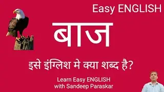 Baaz ise ENGLISH me kya shabd hai? बाज इसे इंग्लिश मे क्या शब्द है?
