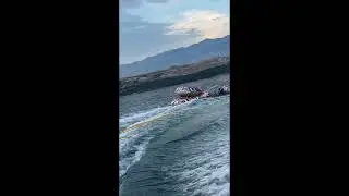 Water Sport Towables