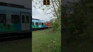 Neuer Werbezug der #sbahnm&uuml;nchen f&uuml;r eine gr&uuml;nere Zukunft rollt vorbei|#aelp#sbahn#m&uuml;nchen#br423