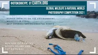 фотоконкурс  от Earth.Org / Global Wildlife & Natural World Photography 2021 / Deadline: 2021.04.04