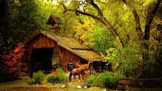 BARNYARD VIEW MEDITATION | Sleep Induction - Total Relaxation - Fall Asleep Fast