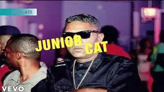 JUNIOR CAT - Exclusive Dubplate Acapella (Dancehall / Reggae) 2020🗣❤💚💛