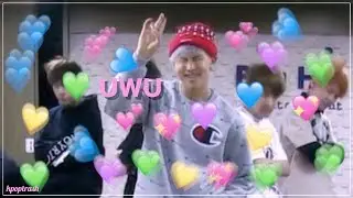 BTS' Boy In Luv Dance Practice WYDN/Fangirl and Fanboy Ver.