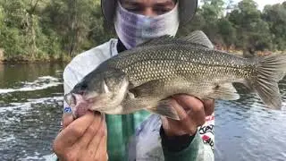Australian bass fishing! 4lb at its finest. 🐋