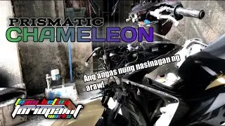 7 COLORS CHAMELEON X PRISMATIC | Yamaha Aerox 155 | Torio Paint Works