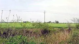 Project No. (168) 153 bigha land for sale Kota Distrct