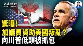 卡尼慌了！拒不公開與川普對話 誰領導加拿大？加國民調川普勝選卡尼 與塔利班 加國震驚！中共全軍互咬？ 林彪式清洗啟動；尼帕病毒未爆發 解藥先出爐？武毒所歷史性翻車【全球視野】