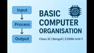 Basic Computer Organisation | Class 11 Modern Computer Application (Bengali Explanation)