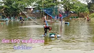 ยกยอหว่านแห ลงปลา บ้านนาดินจี่ อ.สว่างแดนดิน บัตร300 บ.คนเต็มหนองวัดกันไปเลย/ตุ้มแพรว พาเพลิน EP.475