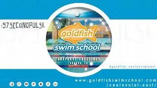 ✨ Pulse Spotlight: Goldfish Swim School ✨