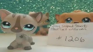 Ebay Package Opening | LPS
