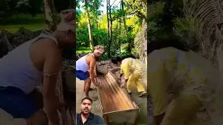 New Cool Tool! 😱New Viral Gadgets  Smart Kitchen Appliances  6 Home Cleaning #shorts​