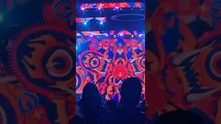 Jantsen live at Seven Stars Music Festival 2025