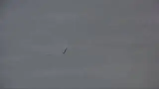 Sebart Sukhoi 29 jul 2009