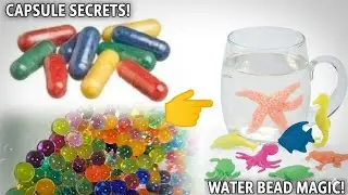 Magic Capsule SECRETS! I Put These Capsules in Water... You Won't Believe What Happened! 