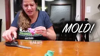 MOLD FOUND IN BATH TOYS!
