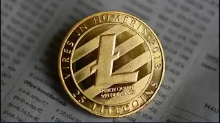 Litecoin (LTC) Halving To Go Live In 150 Days #litecoin #litcoinevent #cryptocurrency #crypto