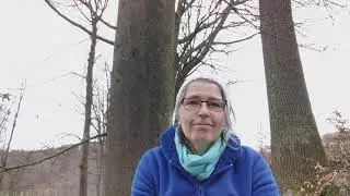 Natur-und Elementarkr&auml;fte