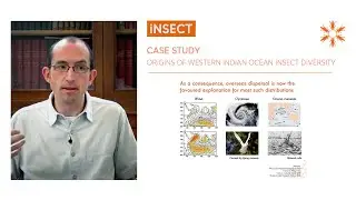 Case study : origins of western Indian Ocean insect diversity