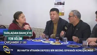 Ispanak Hakkında Her Şey - TARLADAN BAHÇEYE  #tarım #çiftçi #ıspanak