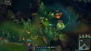 S11 Brand in a Nutshell