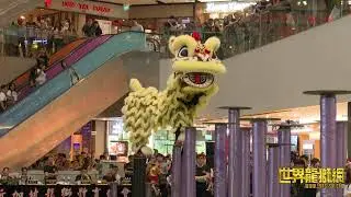 新加坡騰陽龍獅體育會 Singapore Teng Yang Dragon & Lion Dance Association