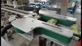 Matcha latte stick cartoning machine Auto Instant Coffee sachet boxing sealing line
