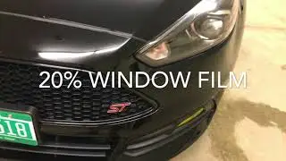 Window Tint On Focus St (yellow Fog Lights)