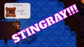 HOW TO CATCH A STINGRAY - Stardew Valley 1.5