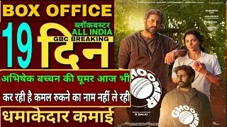 Ghoomer box office collection,Ghoomer Hit or flop,Abhishek Bachchan, Ghoomar movie review reaction