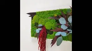 Custom Ilona Model, Lichens, Forest Moss, and Stabilized Natural Plants, Jolie Arts