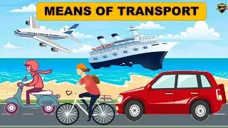 Means of Transport | Means of Transport for Kids | Modes of Transport | 3 means of Transport