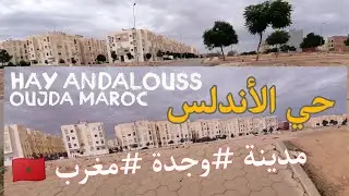 Immobilier en plein essor au sud de Oujda - Appartements économiques et grandes maisons