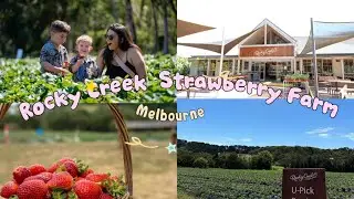 Клубничная ферма Роки-Крик 🍓🇦🇺 | Полуостров Морнингтон | Мельбурн