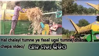 Hal chalayi tumne ye fasal ugai tumne/dhan chepa video/ଧାନ ମଡା ଭିଡିଓ