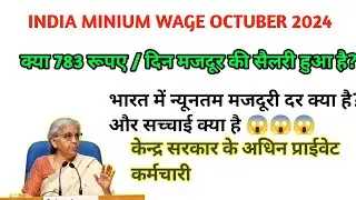 Central Workers Minimum Wage 2024 | Reality Minimum Wage India 😭