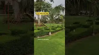 Vatika Westin Farm House in Sohna Gurgaon | Sohna road Farms lands | Delhi Mumbai expressway Farms