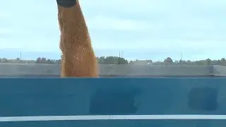 Indiana farmers voice frustrations with costs, Trump tariffs