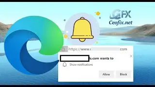 Block Notification Access Request on Edge Chromium