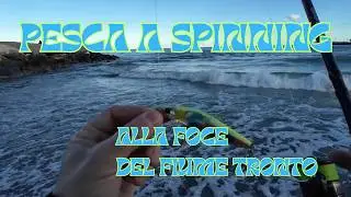 Спиннинговая ловля в устье реки Тронто. #lightspinning #seabassfishing