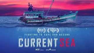 Current Sea Preview Series &ndash; The Impact of Overfishing