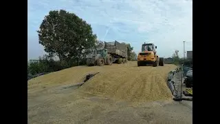 Maize harvest 2019 DutchFarmerSon