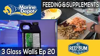 Food and Supplements: 3 Glass Walls with Reefbum Part 20