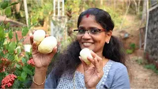 ഇത്രയേറെ ഗുണങ്ങളുള്ള പൊങ്ങ് വച്ചൊരു തകർപ്പൻ ഐറ്റം | Coconut Apple Special Recipe | Cheerulli Media