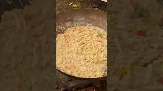 Chintpurni Mata Mela 2025 | Chintpurni Latest Video Chintpurni pasta da langer