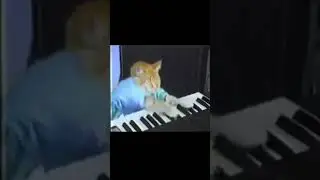 car #piano #ost #musica #composition #memes #gato #vgmusic #soundtrack #music #m&uacute;sica #composer