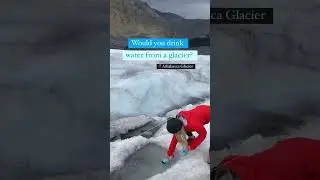 Would you drink water from a glacier? 🇨🇦 The purest water you could ever find! 📍Athabasca