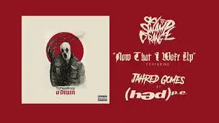 Sky Swamp Orange - Now That I Woke Up (ft. Jahred of Hed PE) [Official Audio]