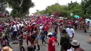 Crop Over 2013 - Grand Kadooment Parade (F6)